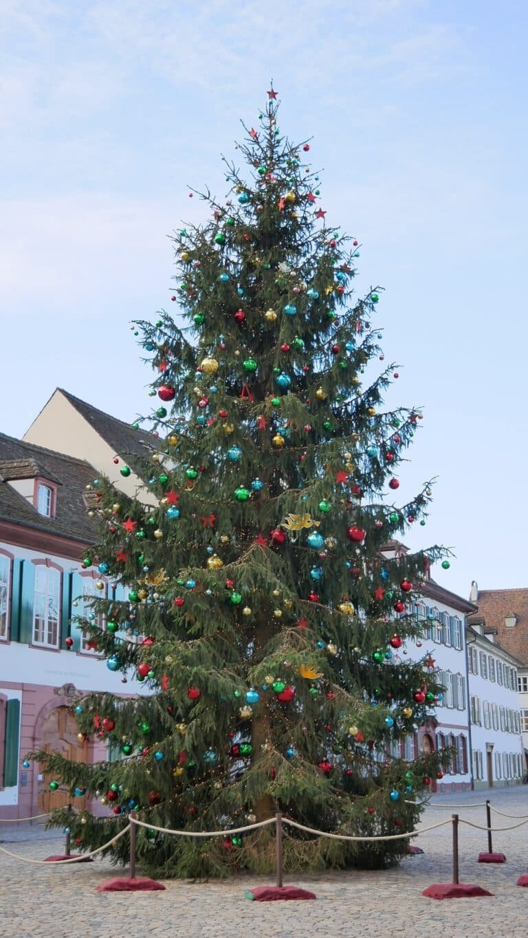 Basler Weihnachtsmarkt – festlich geschmückter Weihnachtsbaum am Münsterplatz Basler Weihnachtsmarkt – festlich geschmückter Weihnachtsbaum am Münsterplatz