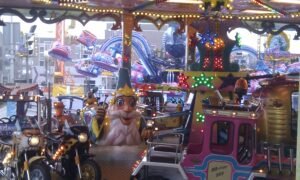 Ganzenmarkt 2026 in Coevorden